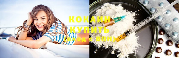 кокс Алзамай